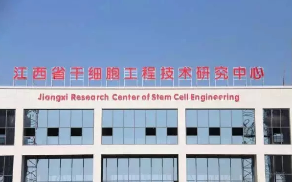 上饶干细胞