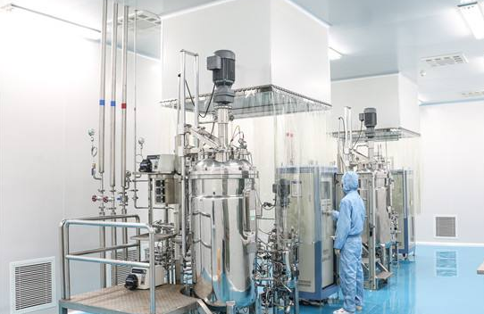 制药间（十一）